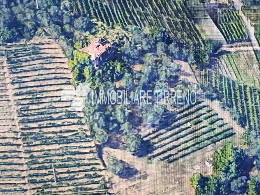 Immagine 4 di Terreno residenziale in vendita  a Massa