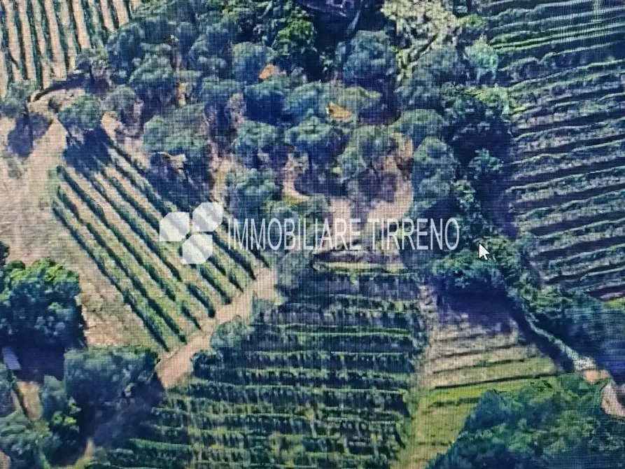 Immagine 3 di Terreno residenziale in vendita  a Massa