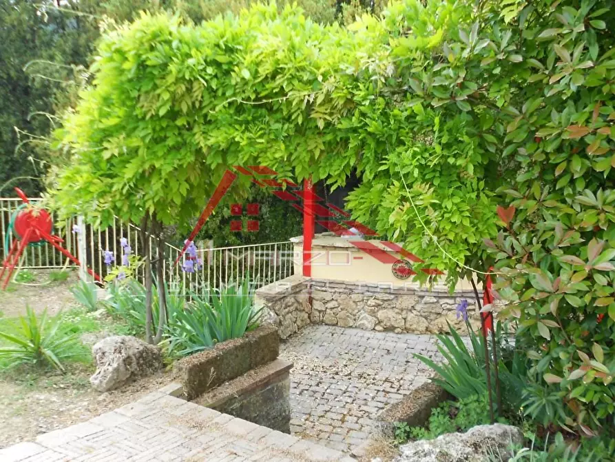 Immagine 20 di Casa colonica in vendita  a Casciana Terme Lari