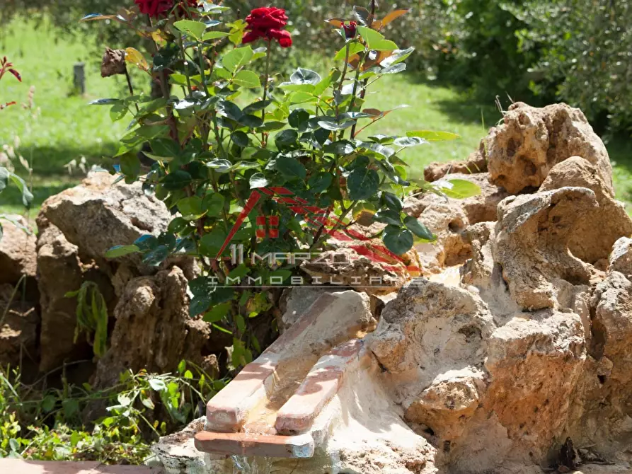 Immagine 83 di Villa in vendita  a Casciana Terme Lari
