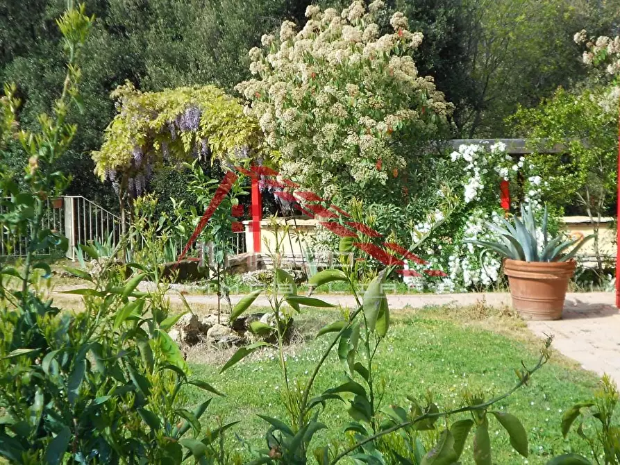 Immagine 61 di Villa in vendita  a Casciana Terme Lari