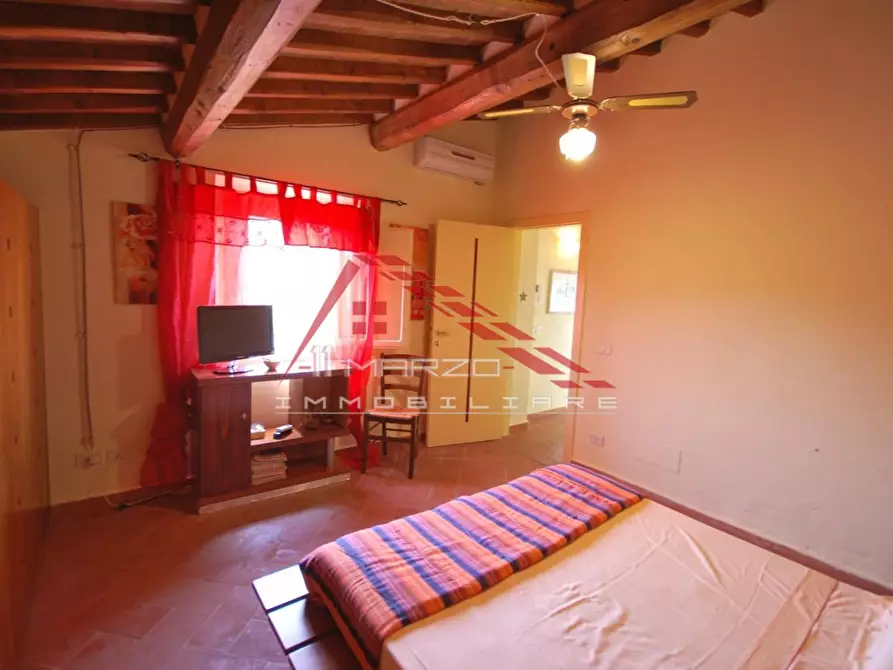 Immagine 15 di Casa colonica in vendita  a Casciana Terme Lari