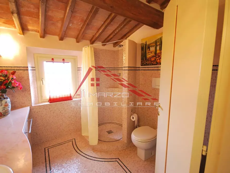 Immagine 16 di Casa colonica in vendita  a Casciana Terme Lari