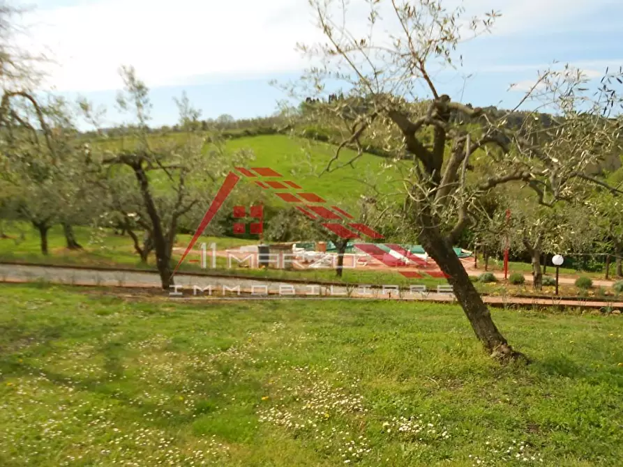 Immagine 9 di Casa colonica in vendita  a Casciana Terme Lari