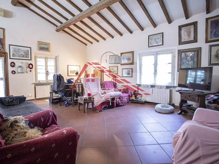 Immagine 5 di Appartamento in vendita  a Crespina Lorenzana