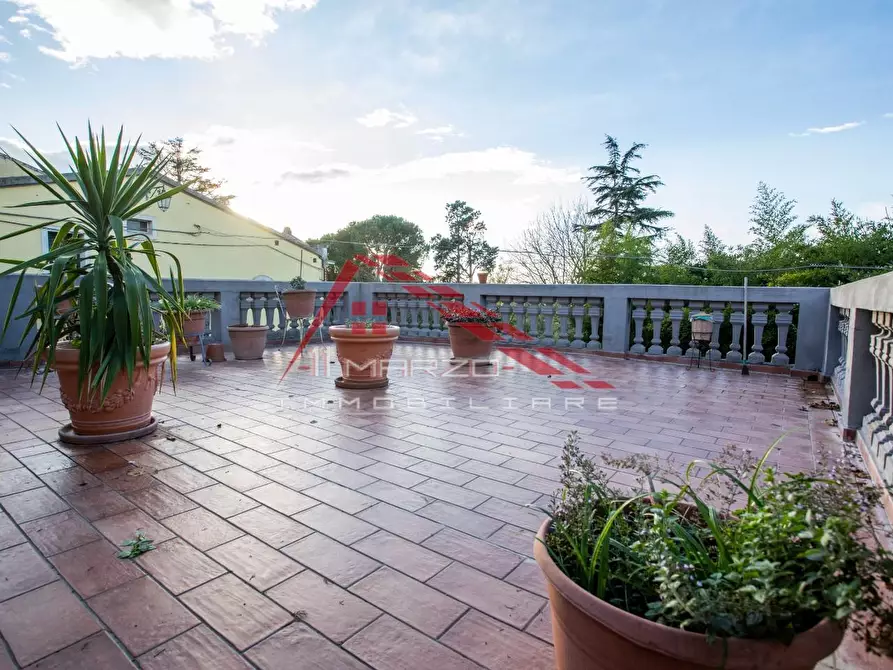 Immagine 15 di Appartamento in vendita  a Crespina Lorenzana