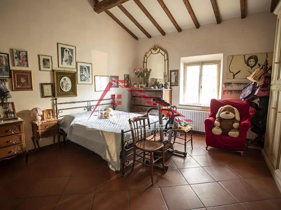 Immagine 8 di Appartamento in vendita  a Crespina Lorenzana