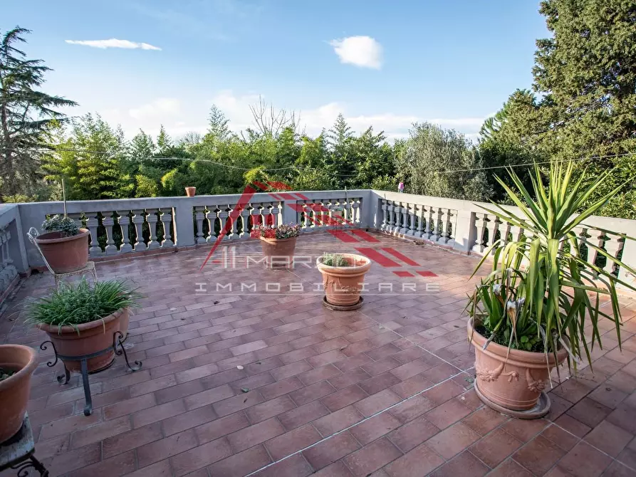 Immagine 13 di Appartamento in vendita  a Crespina Lorenzana