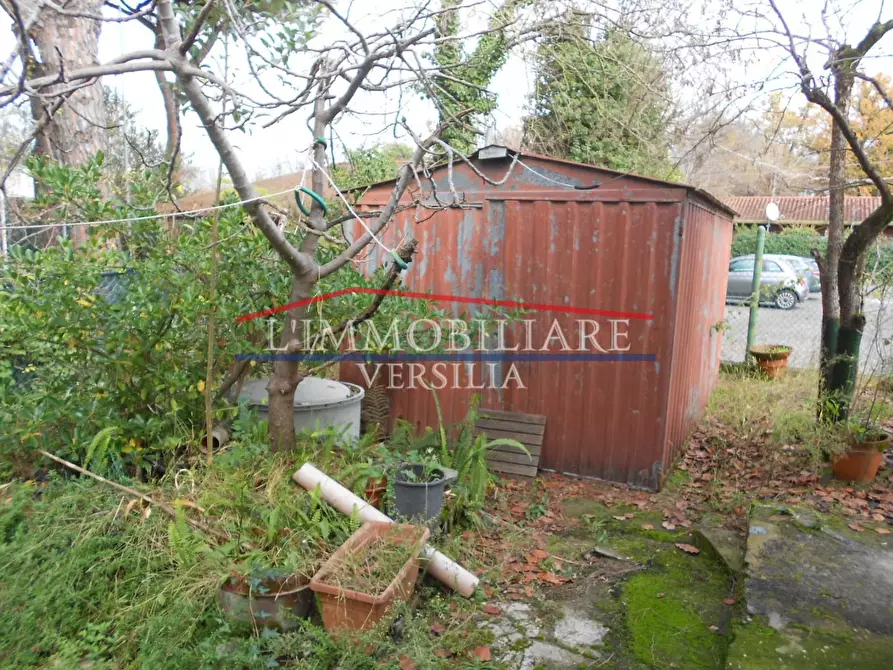 Immagine 39 di Casa indipendente in vendita  a Massa