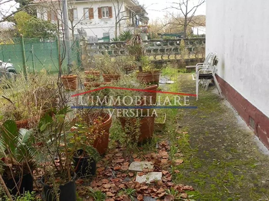 Immagine 41 di Casa indipendente in vendita  a Massa