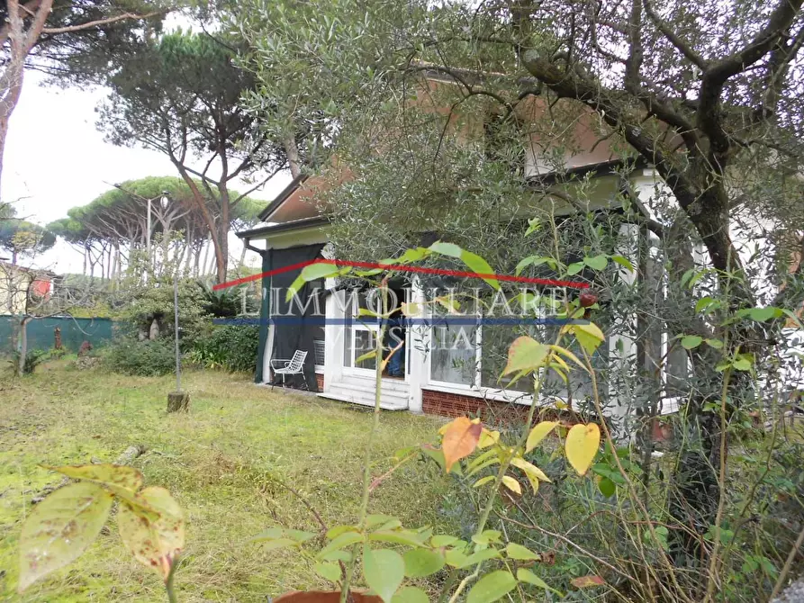 Immagine 2 di Casa indipendente in vendita  a Massa