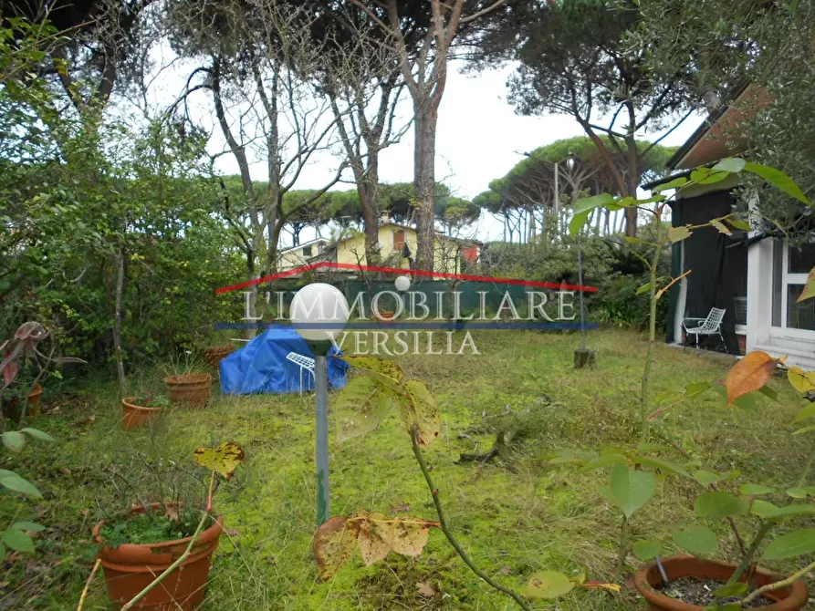 Immagine 5 di Casa indipendente in vendita  a Massa