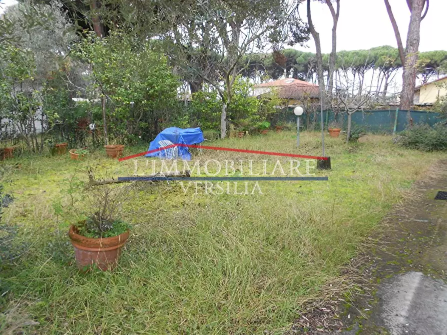 Immagine 9 di Casa indipendente in vendita  a Massa