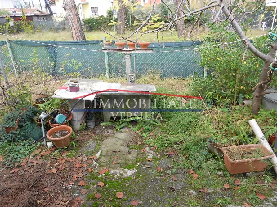 Immagine 34 di Casa indipendente in vendita  a Massa