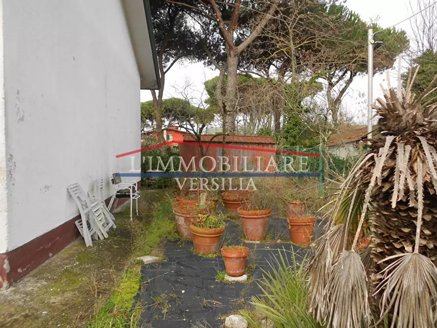 Immagine 43 di Casa indipendente in vendita  a Massa