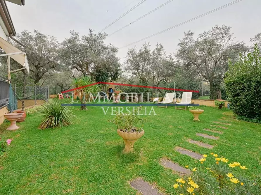 Immagine 1 di Casa quadrifamiliare in vendita  a Seravezza