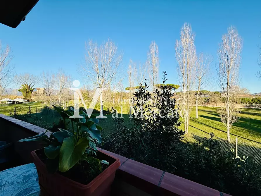 Immagine 6 di Appartamento in vendita  a Viareggio