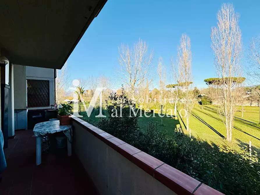 Immagine 8 di Appartamento in vendita  a Viareggio