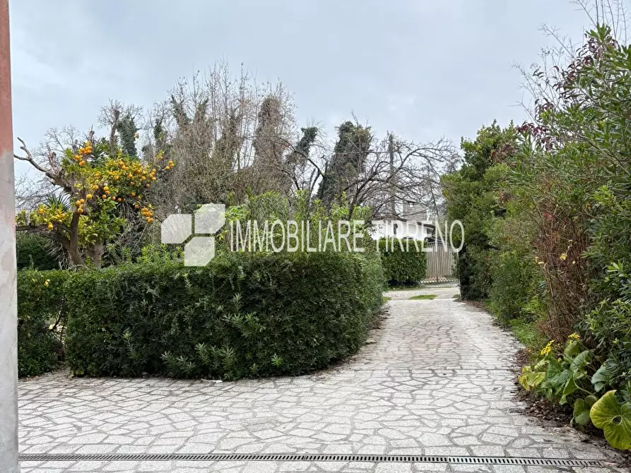 Immagine 3 di Casa indipendente in vendita  a Massa