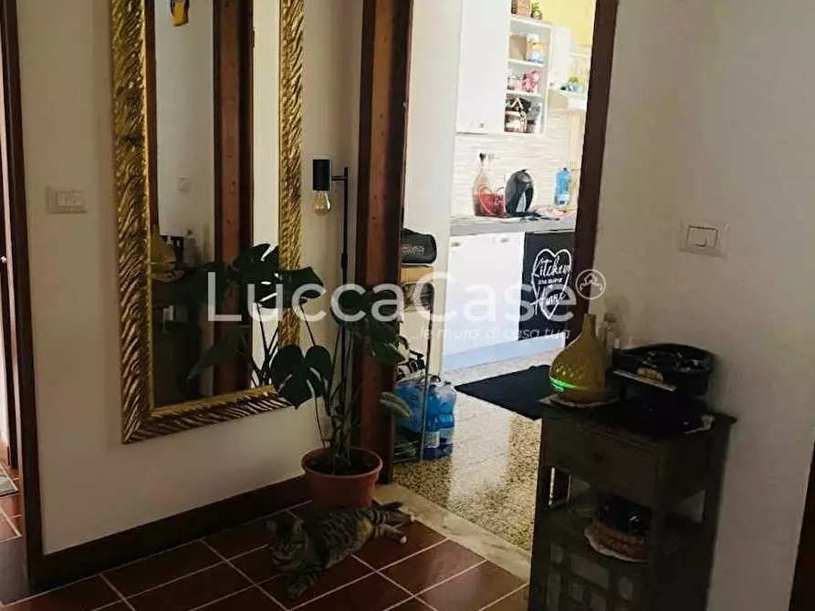Immagine 7 di Casa bifamiliare in vendita  a Lucca