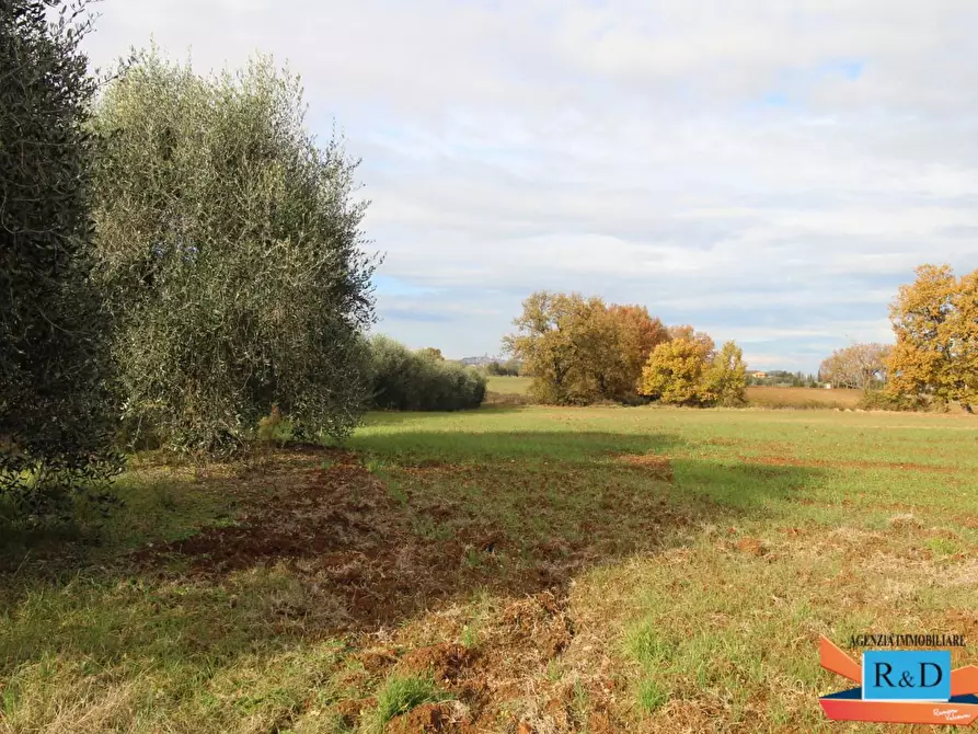 Immagine 47 di Casa indipendente in vendita  a Colle Di Val D'elsa