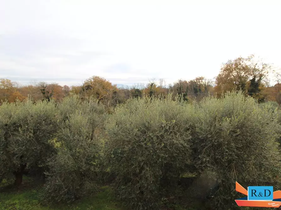 Immagine 31 di Casa indipendente in vendita  a Colle Di Val D'elsa