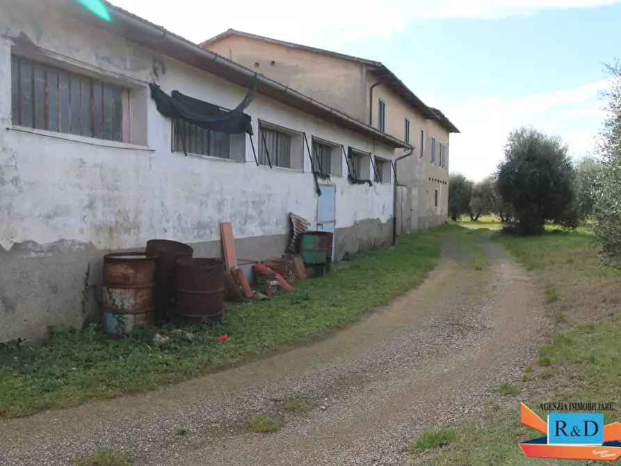 Immagine 9 di Casa indipendente in vendita  a Colle Di Val D'elsa