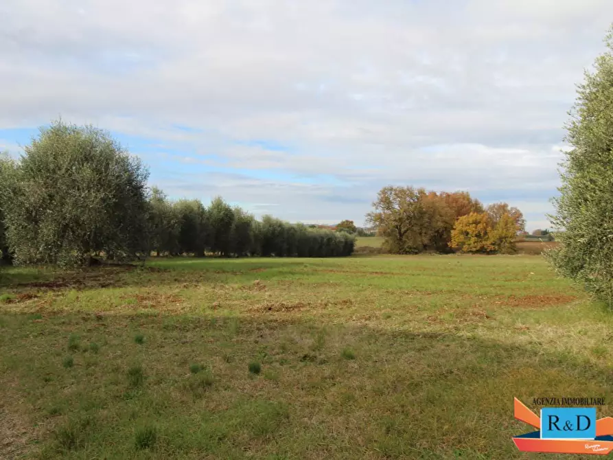 Immagine 45 di Casa indipendente in vendita  a Colle Di Val D'elsa