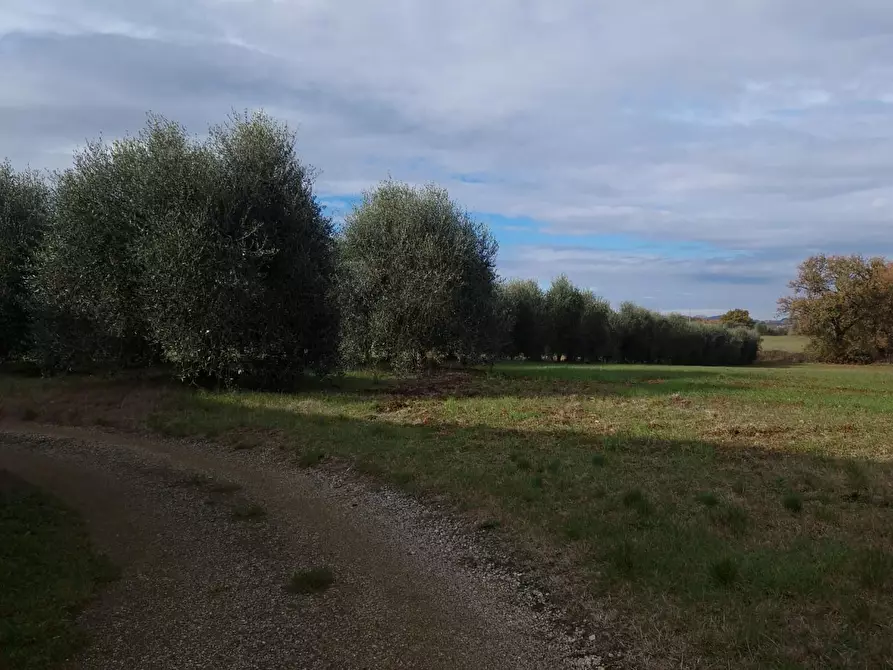 Immagine 48 di Casa indipendente in vendita  a Colle Di Val D'elsa