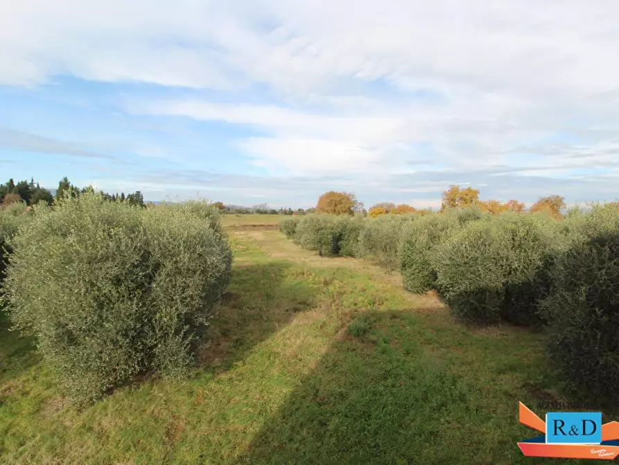 Immagine 22 di Casa indipendente in vendita  a Colle Di Val D'elsa
