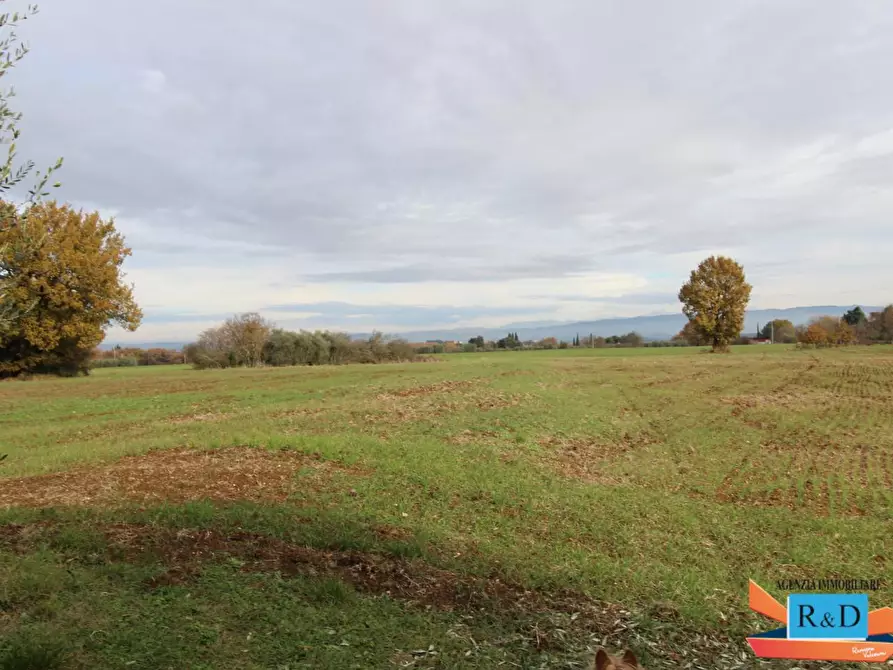 Immagine 6 di Casa indipendente in vendita  a Colle Di Val D'elsa