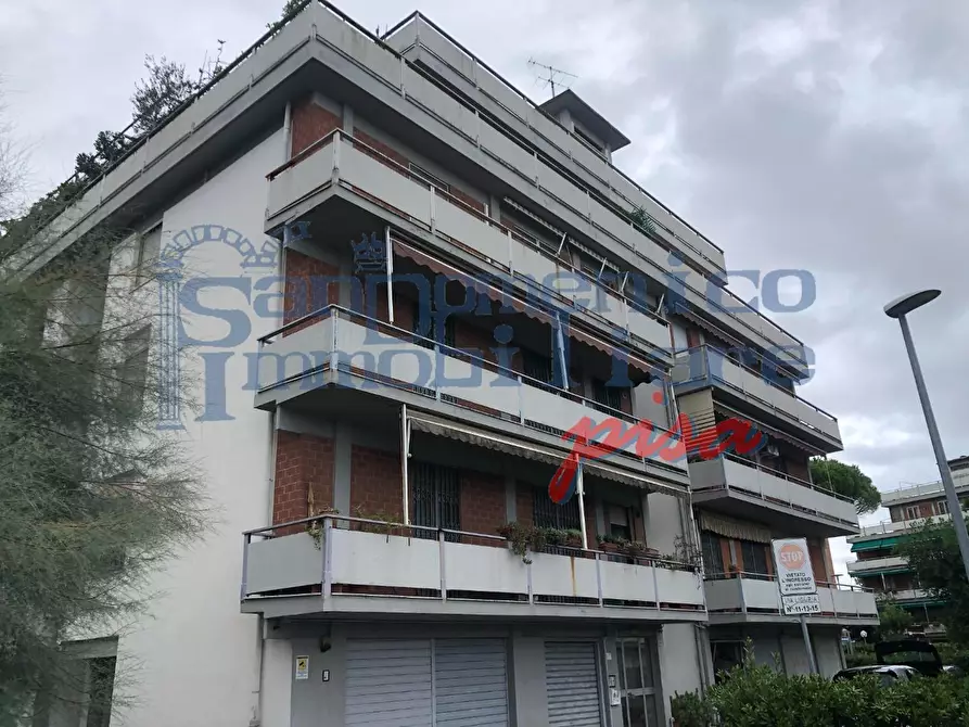 Immagine 1 di Appartamento in affitto  a Pisa