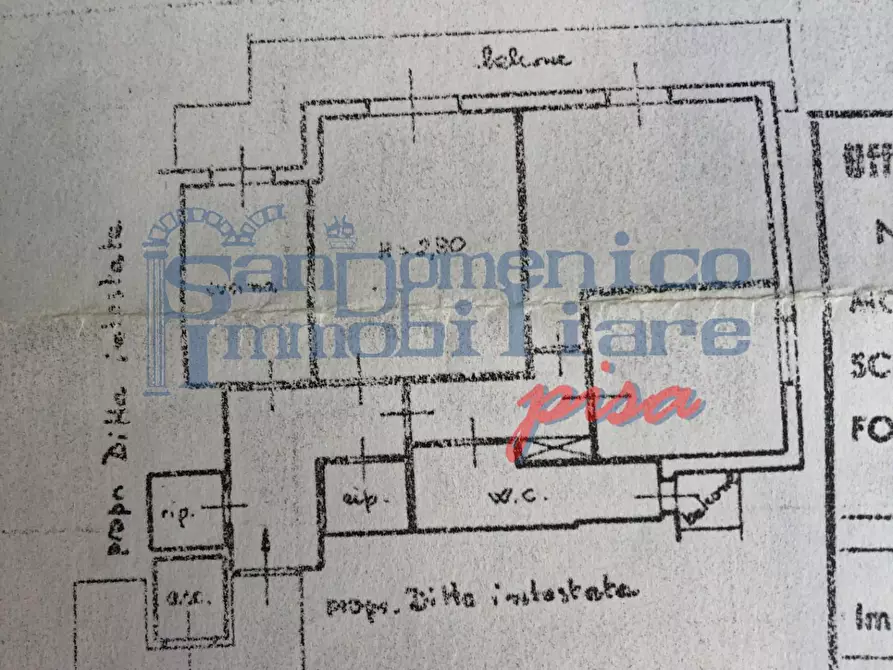 Immagine 4 di Appartamento in affitto  a Pisa