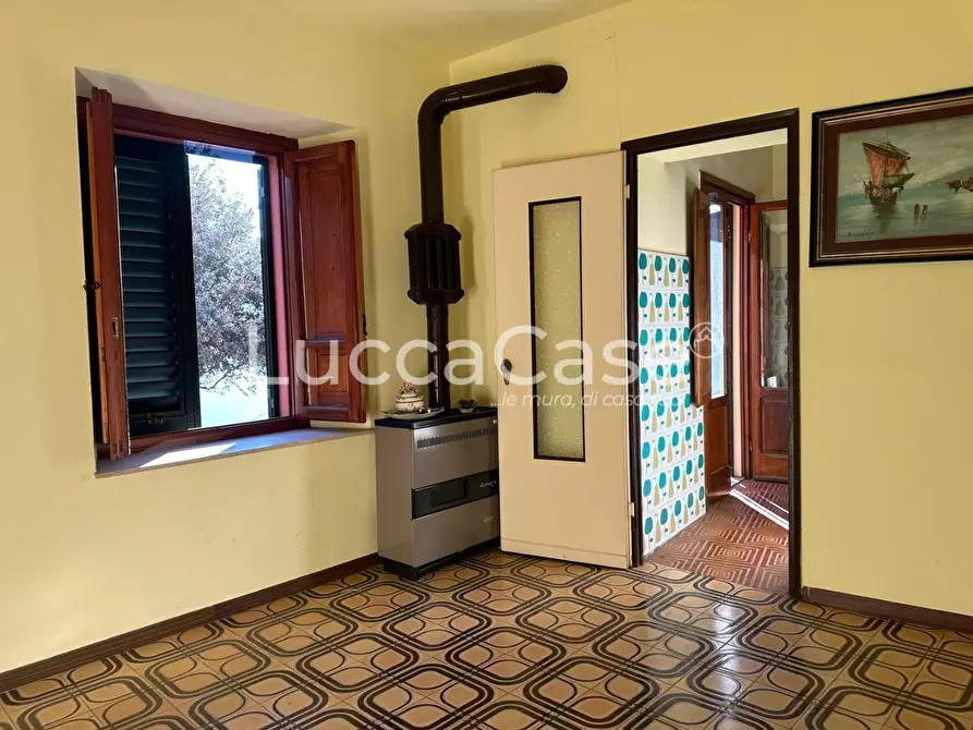 Immagine 6 di Terratetto in vendita  a Villa Basilica