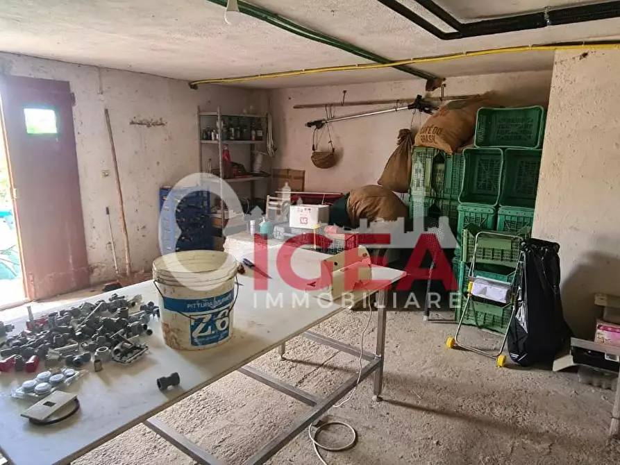 Immagine 7 di Casa colonica in vendita  a Montepulciano