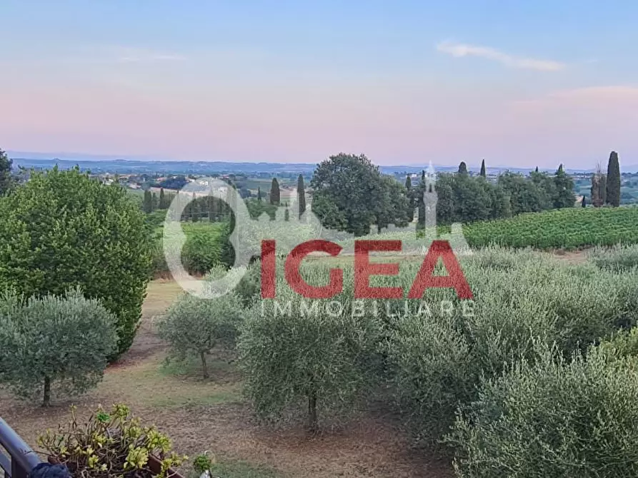 Immagine 3 di Casa colonica in vendita  a Montepulciano