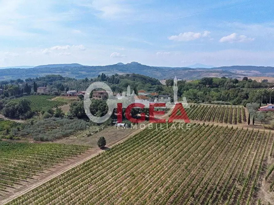 Immagine 20 di Casa colonica in vendita  a Montepulciano