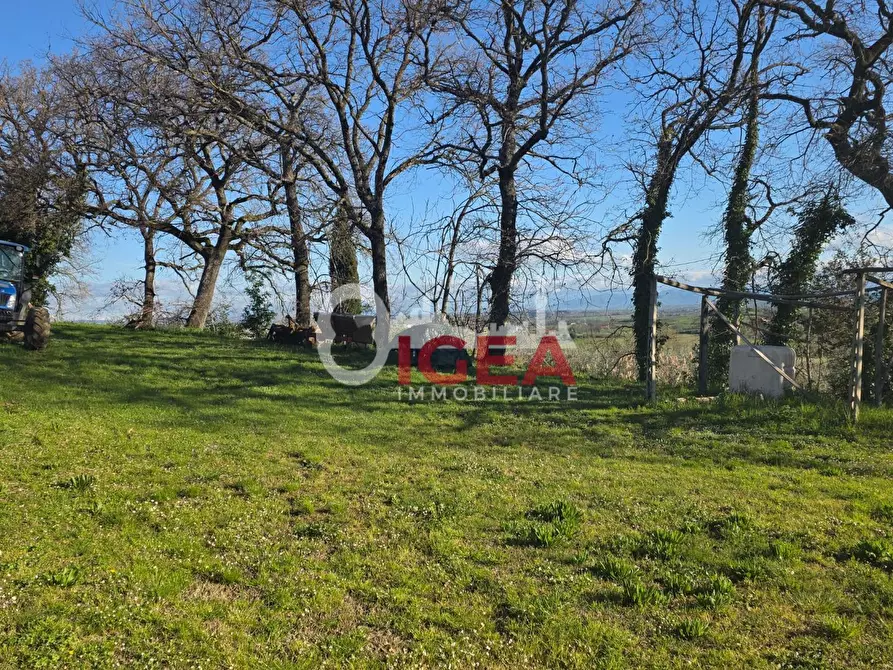 Immagine 4 di Casa colonica in vendita  a Montepulciano