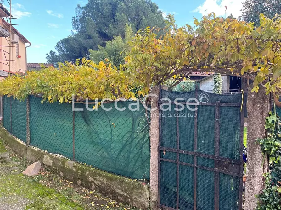 Immagine 4 di Terratetto in vendita  a Capannori