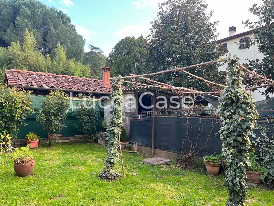 Immagine 3 di Terratetto in vendita  a Capannori