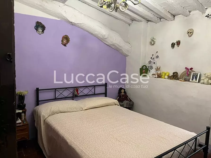 Immagine 12 di Terratetto in vendita  a Capannori