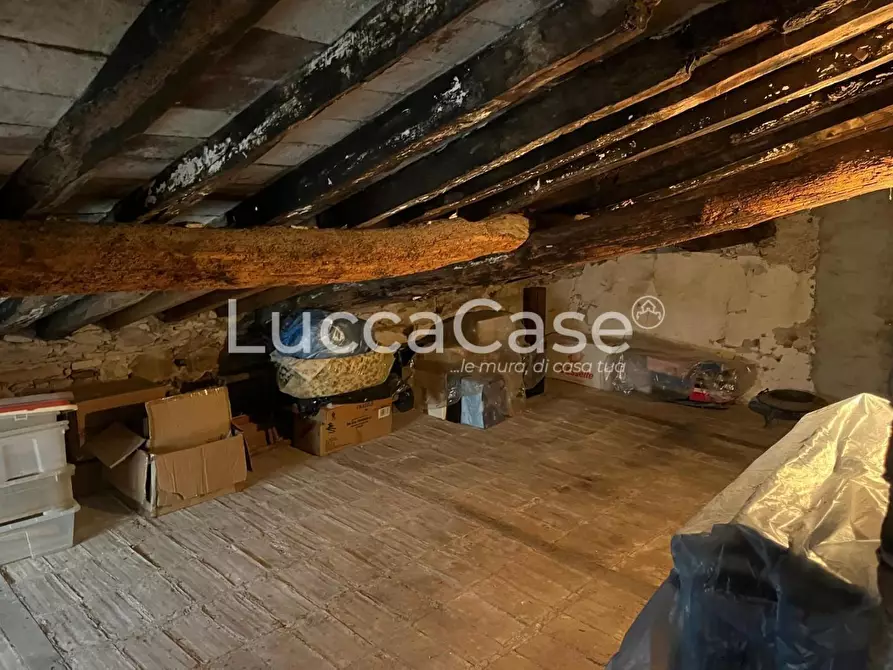 Immagine 19 di Terratetto in vendita  a Capannori