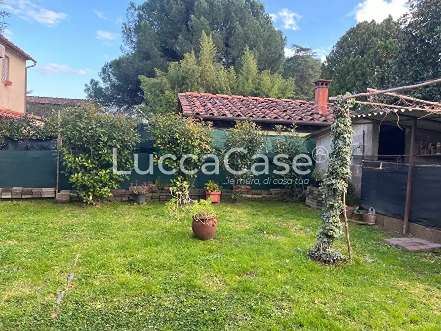 Immagine 2 di Terratetto in vendita  a Capannori