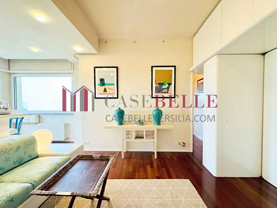 Immagine 15 di Appartamento in affitto  a Camaiore