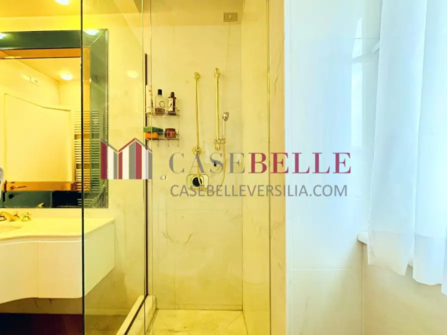 Immagine 26 di Appartamento in affitto  a Camaiore