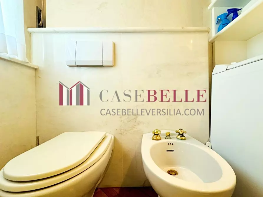 Immagine 25 di Appartamento in affitto  a Camaiore