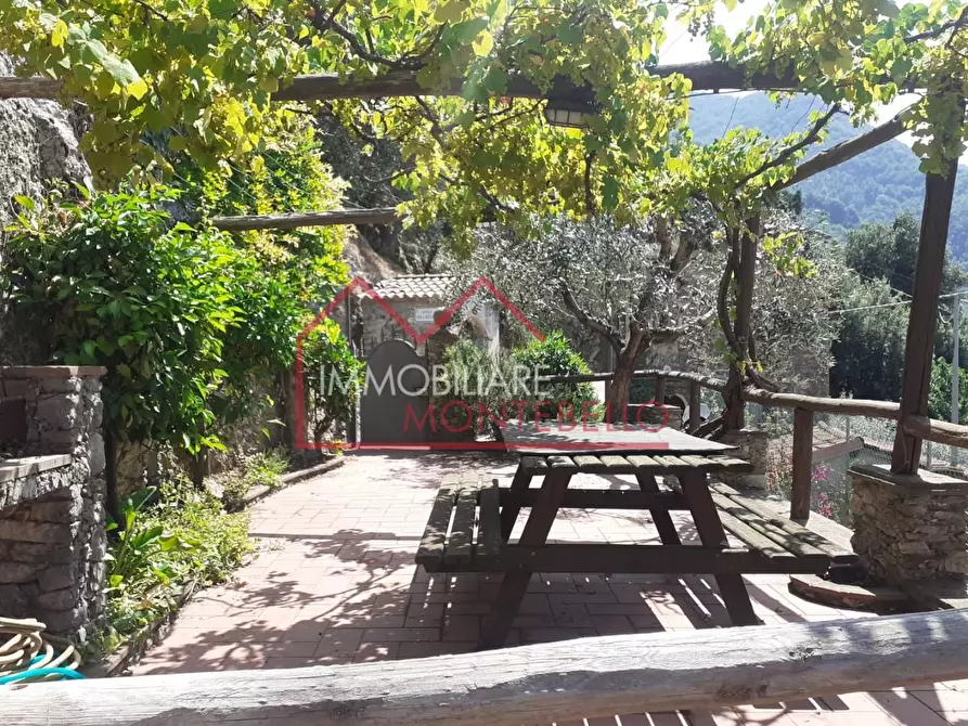 Immagine 40 di Rustico / casale in vendita  a Camaiore