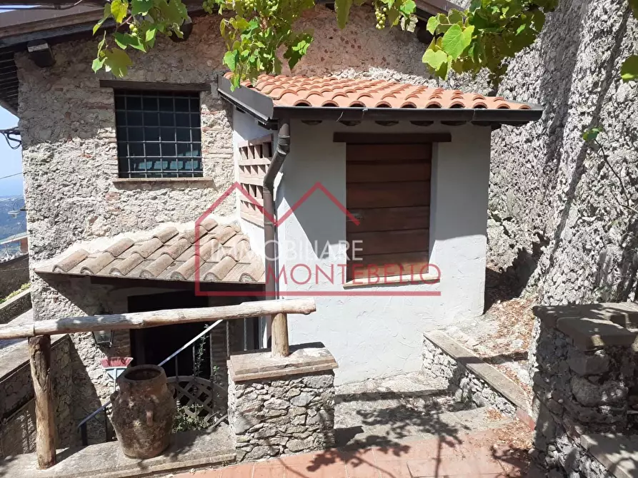 Immagine 34 di Rustico / casale in vendita  a Camaiore