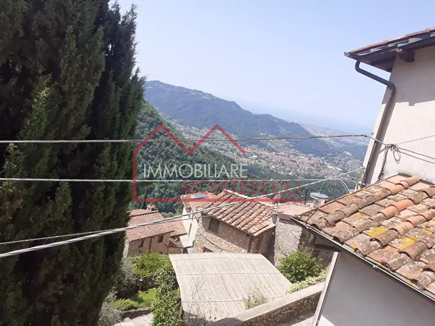 Immagine 38 di Rustico / casale in vendita  a Camaiore