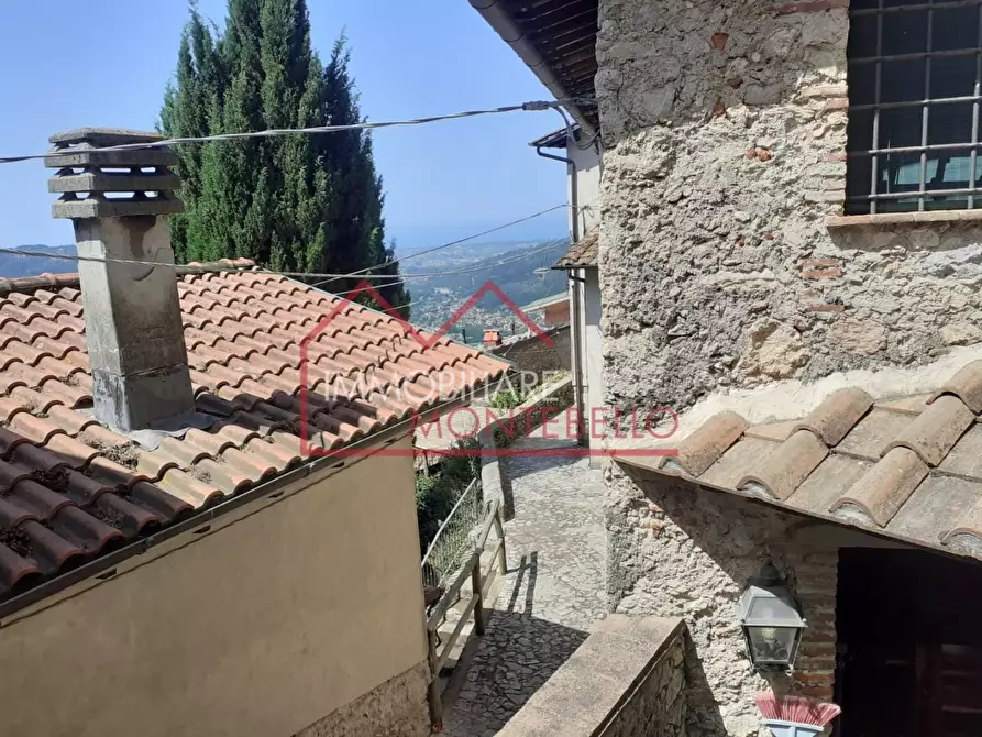 Immagine 36 di Rustico / casale in vendita  a Camaiore